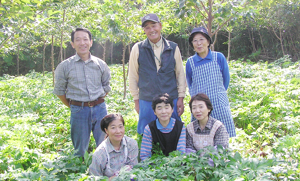 明日葉の西野農園 ユリの西野園芸