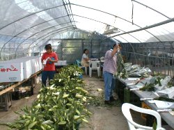 �����ב���