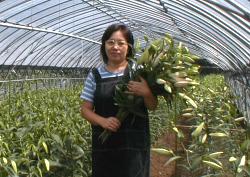 �����o��