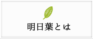 明日葉とは