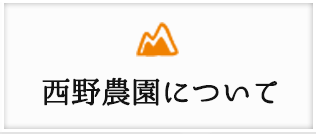 西野農園について