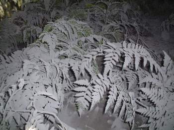 ���U�[�t�@��