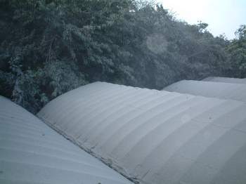 �~�D�n�E�X